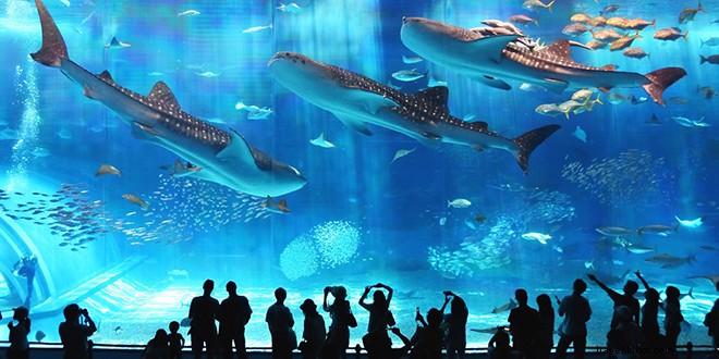 Visiting Japan? Don t Miss Okinawa: The Legendary Land of Immortals